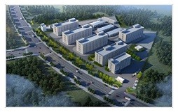 大连双硼医药化工有限公司年产1000吨系列偶联试剂和手性化合物项目