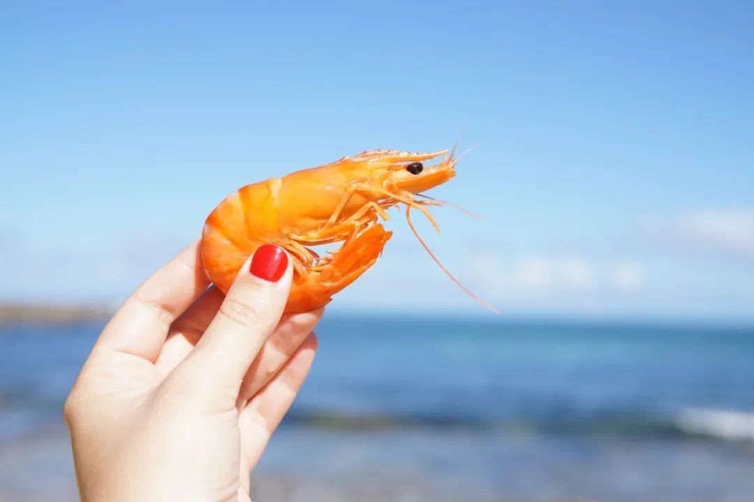 New crowns have been detected in the outer packaging of Ecuadorian shrimp. Can imported cold chain f