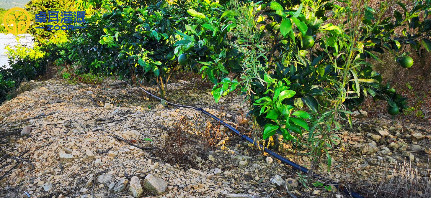 通山板桥枇杷基地智慧水肥一体化示范项目