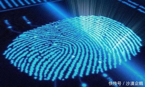 指纹锁行业再爆黑科技！“三维一体”可视指纹锁来袭