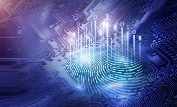 What impact will the development of biometrics bring to the security of the Internet of things?