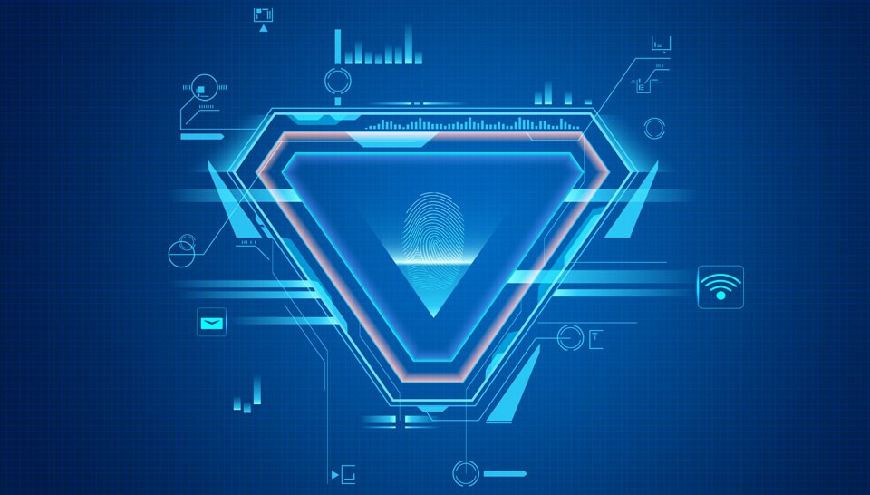 Fingerprint Identification Chip