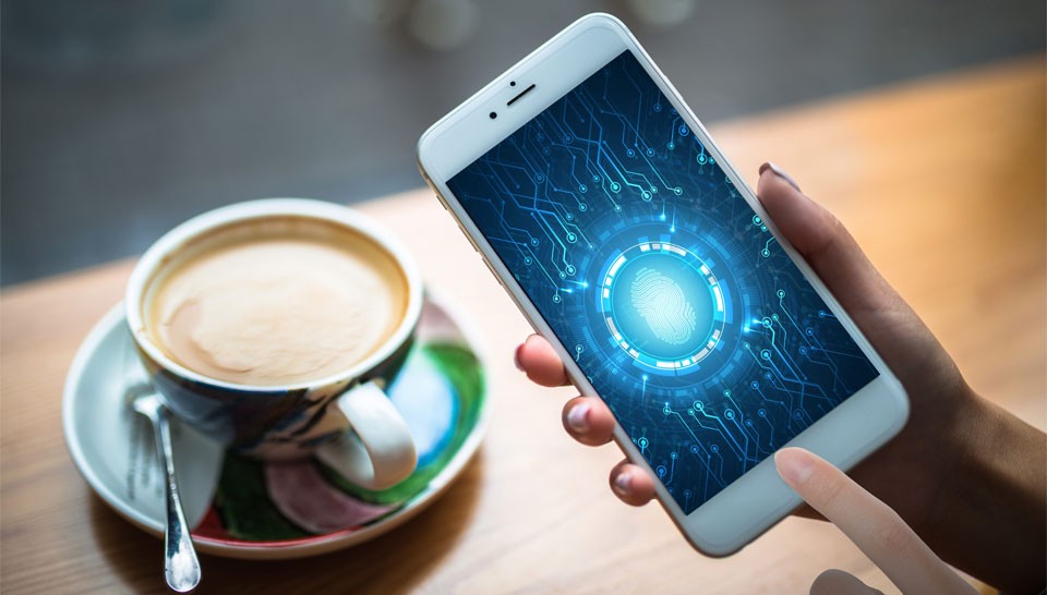 Fingerprint Identification Module