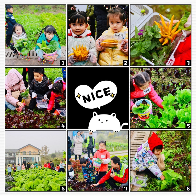 佛手柑文化之旅，我们出发啦！ ——国药集团重庆医药设计院有限公司2020年亲子嘉年华活动记录