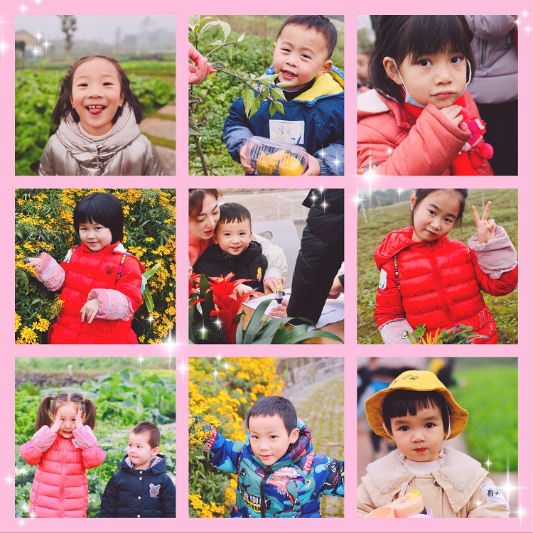 佛手柑文化之旅，我们出发啦！ ——国药集团重庆医药设计院有限公司2020年亲子嘉年华活动记录