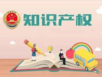知识产权保护类专项