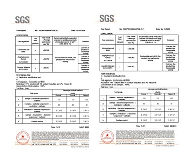 SGS test report