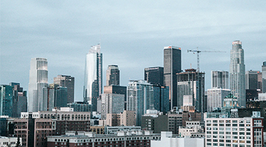 Los Angeles Branch