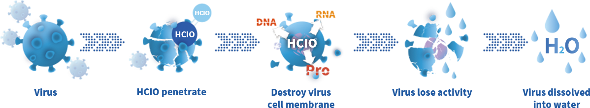 How does Water Guard highly efficiently kill the viruses, germs, bacteria without any harmful residue? 