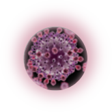 Influenza virus