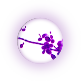 Candida Albicans