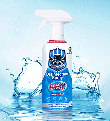 Disinfectant Spray 500ml 
