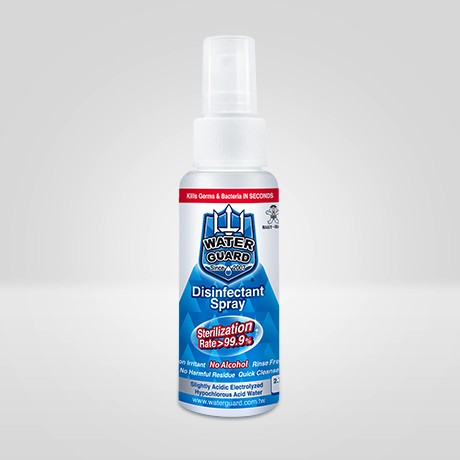 Disinfectant Spray 80ml 