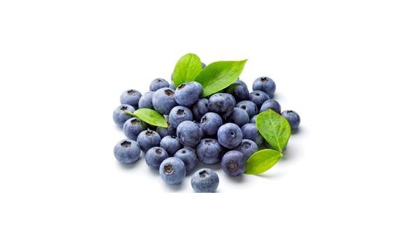 自然村染发液原料——蓝莓花色素苷