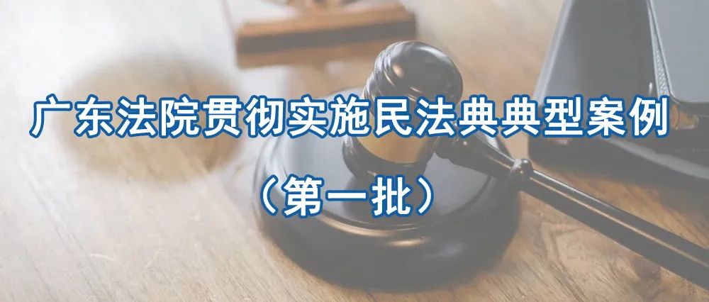 广东高院发布贯彻实施民法典典型案例
