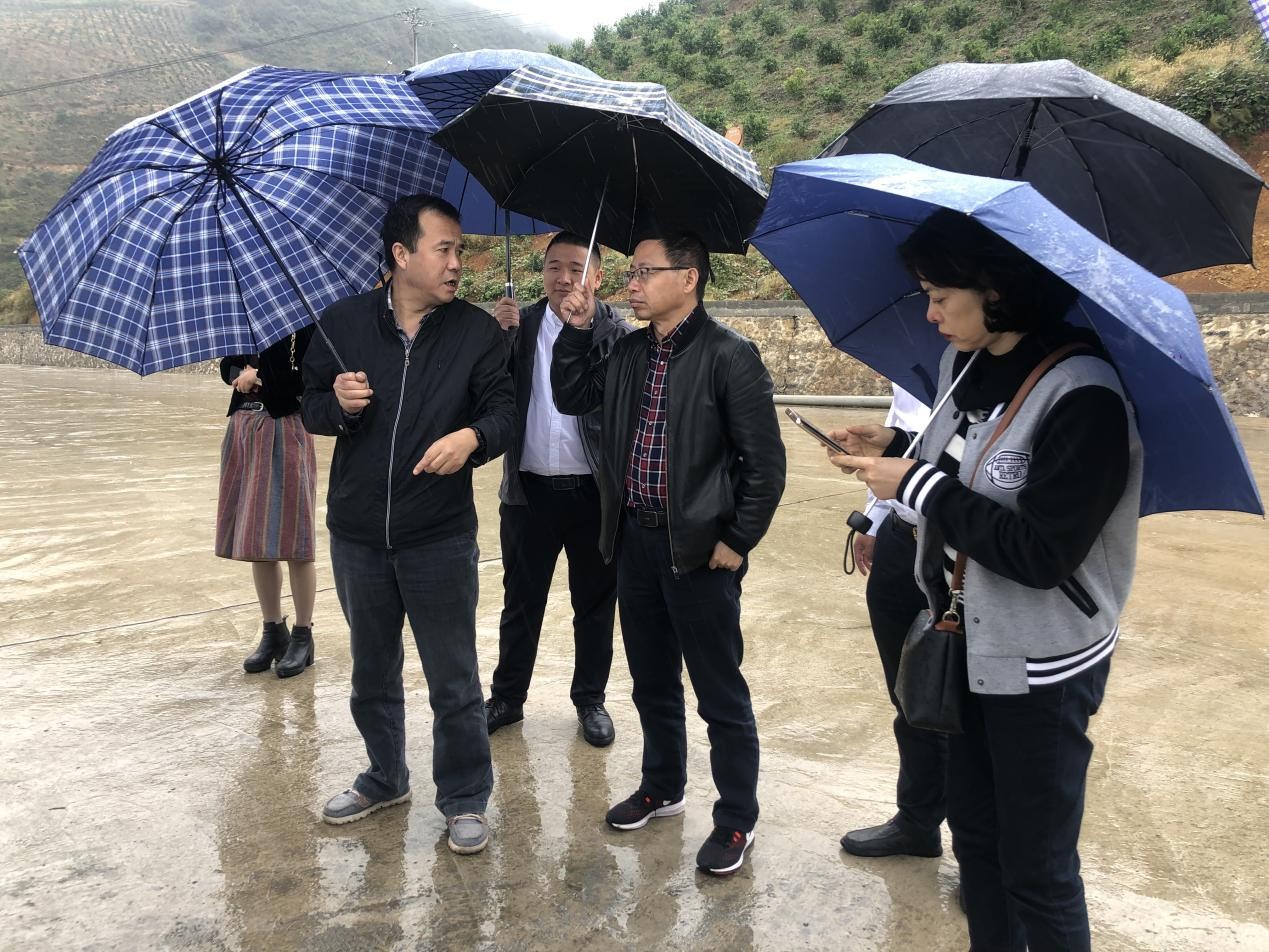 我司工会主席潘晓勤赴兴隆镇调研乡村振兴