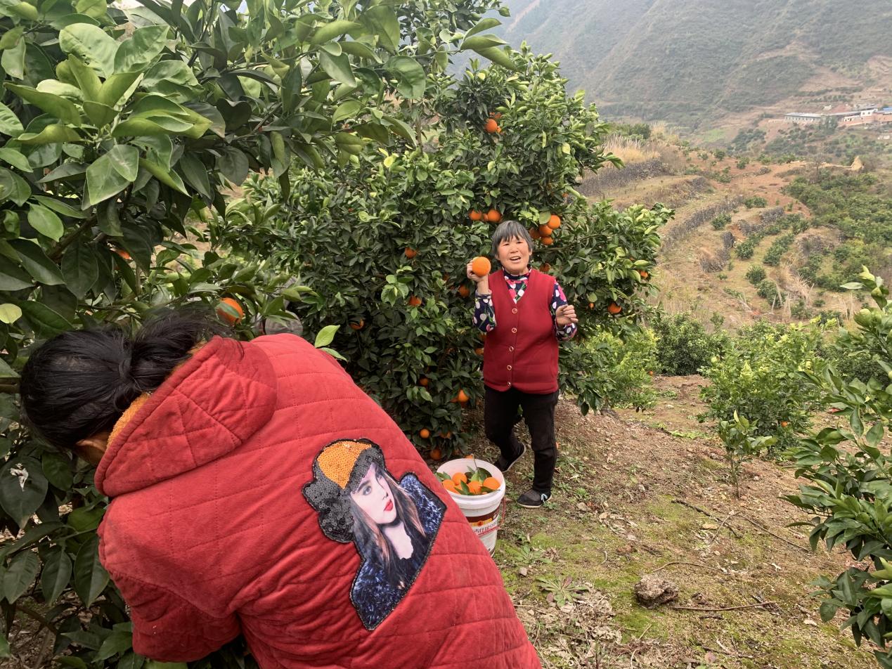  “橙”心诚意 助力乡村振兴