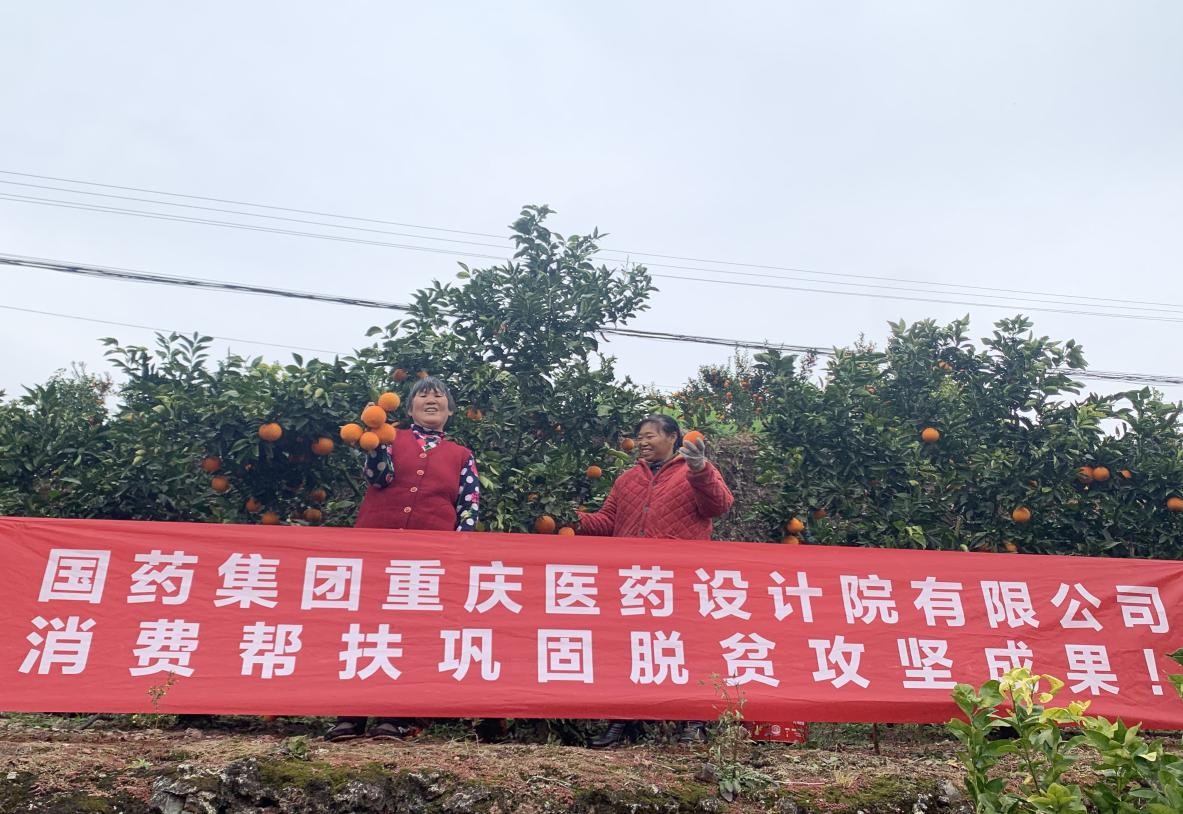  “橙”心诚意 助力乡村振兴