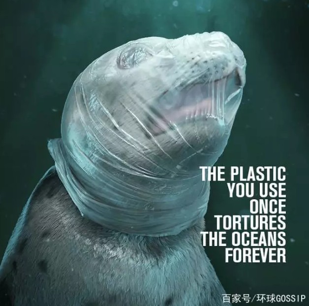 Environmental protection weekly report 8 issues