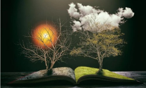 15 countries' plastic ban 'swarmed in. Don't say' waste plastic 'has nothing to do with you!