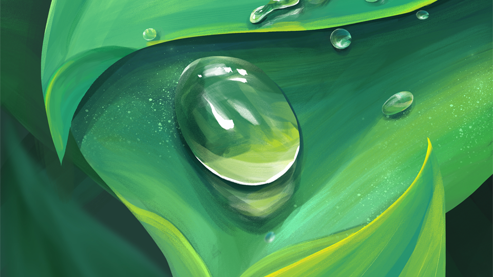 Development status, trend and suggestions of biodegradable plastics