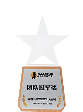 Entrepreneurial Ideas - Champion Team Award