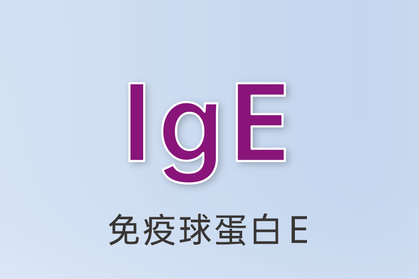 免疫球蛋白E（IgE）