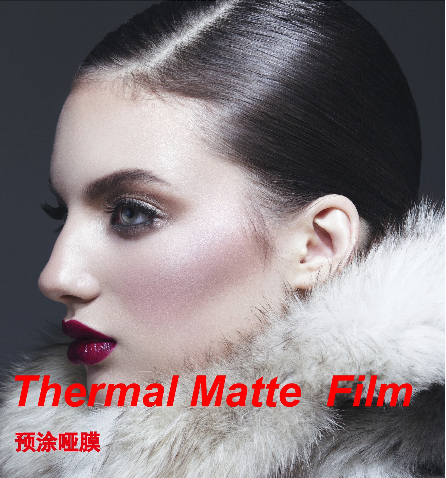 Pre-coated Matte Film