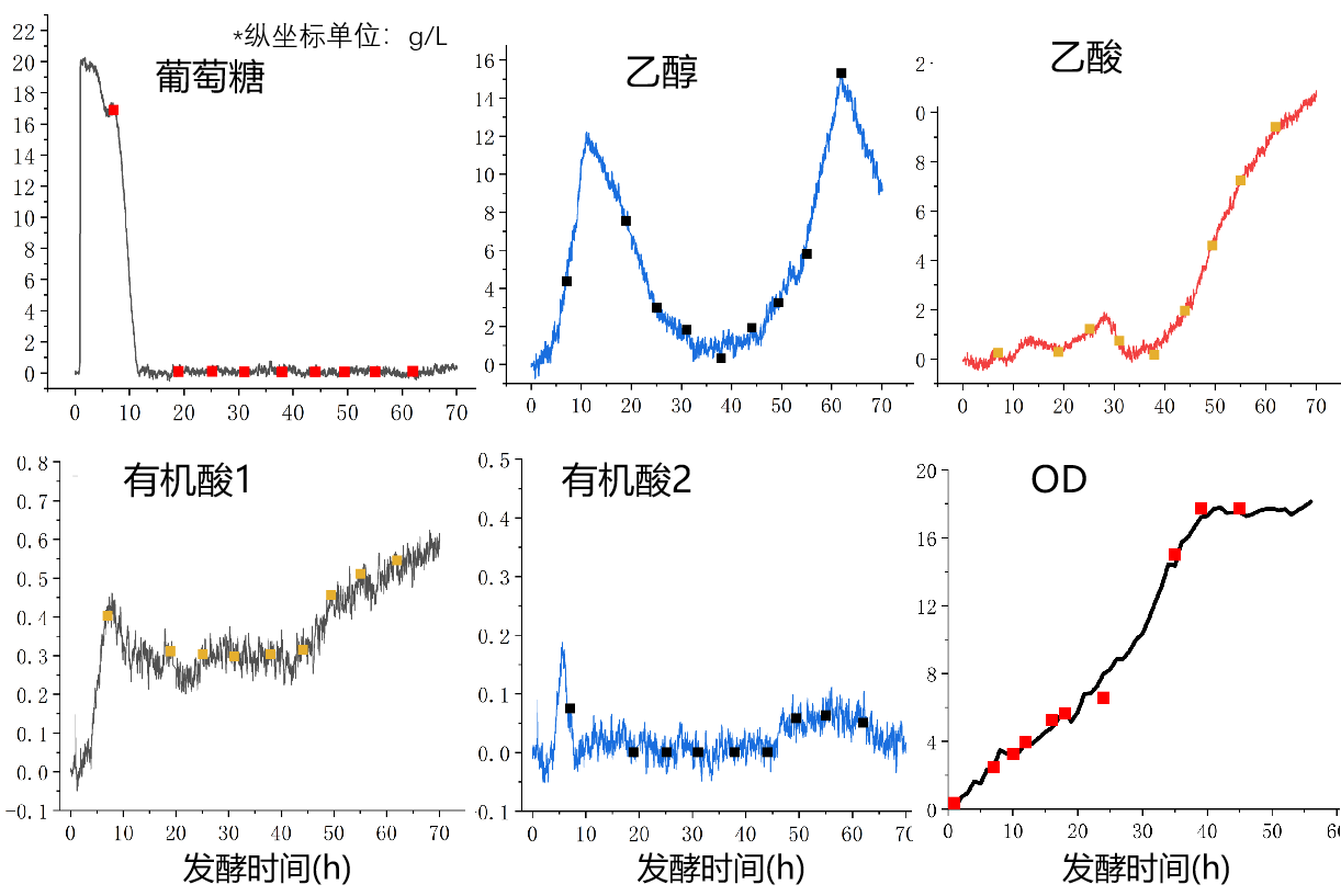 发酵过程分析与控制