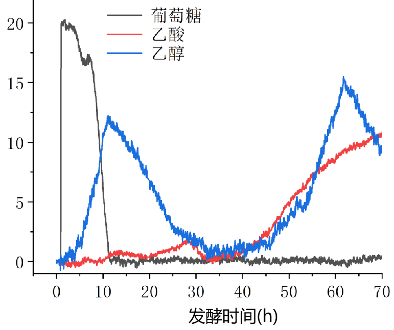 发酵过程分析与控制