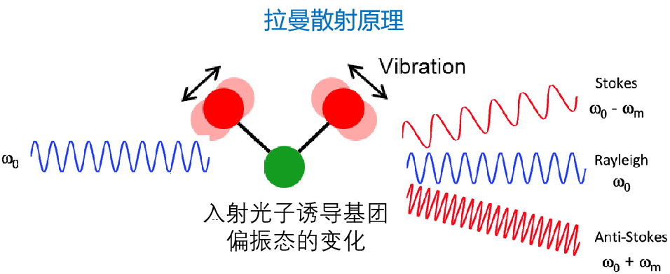 什么是拉曼技术