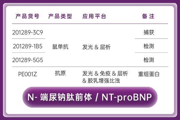 N-端尿鈉肽前體（NT-proBNP）