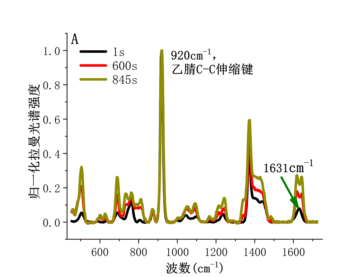 结晶过程监控