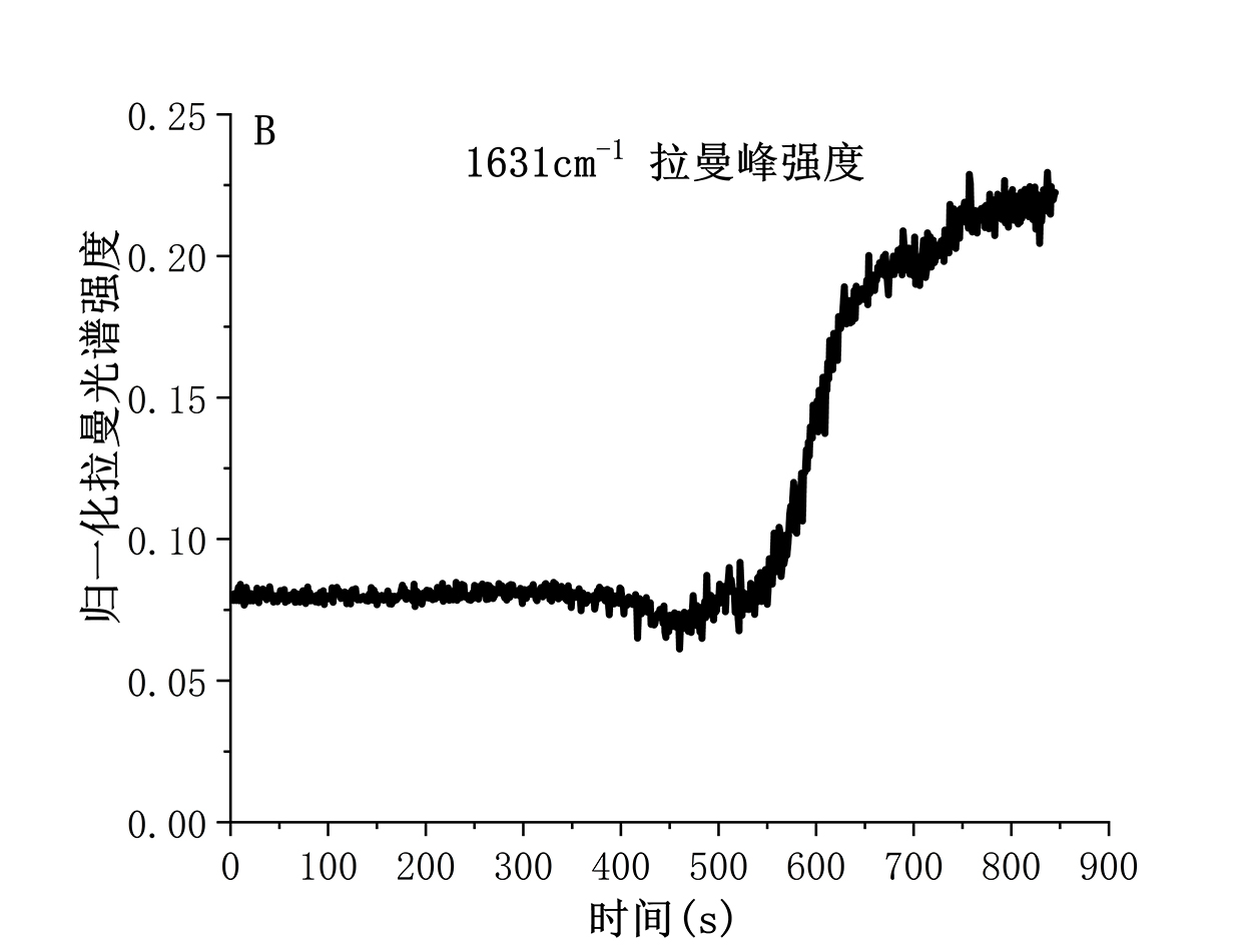 结晶过程监控