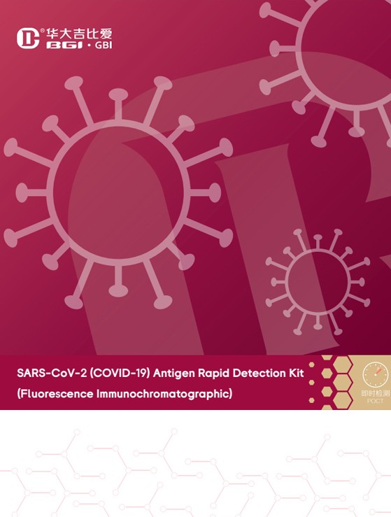 Antigen Test (Rapid Test)