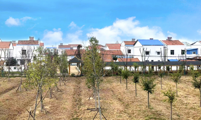 武汉市蔡甸区奓山街螺丝岗村裴家岭美丽乡村建设项目