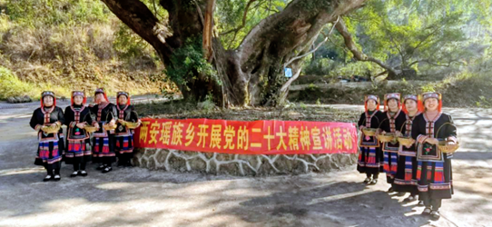 广西:(贺州)电影公共服务为乡村振兴助力添彩 广西:(贺州)电影公共服务为乡村振兴助力添彩