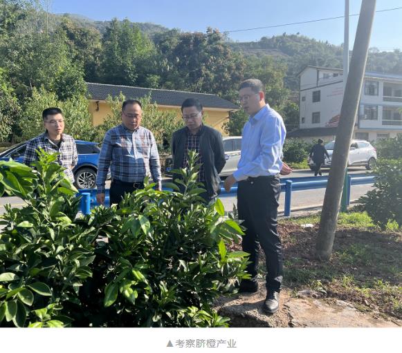 公司工会主席潘晓勤赴兴隆镇调研乡村振兴相关工作