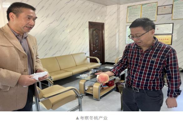 公司工会主席潘晓勤赴兴隆镇调研乡村振兴相关工作