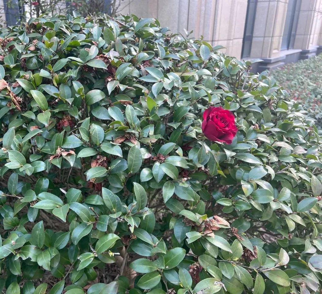 妇女节快乐| 感谢永远热爱、独立又与众不同的,无需定义的自己! 妇女节快乐| 感谢永远热爱、独立又与众不同的,无需定义的自己!