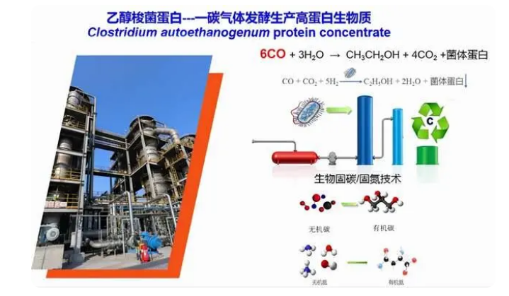 拉曼在线分析仪实时过程监控，提高工业发酵的品质效率和收益