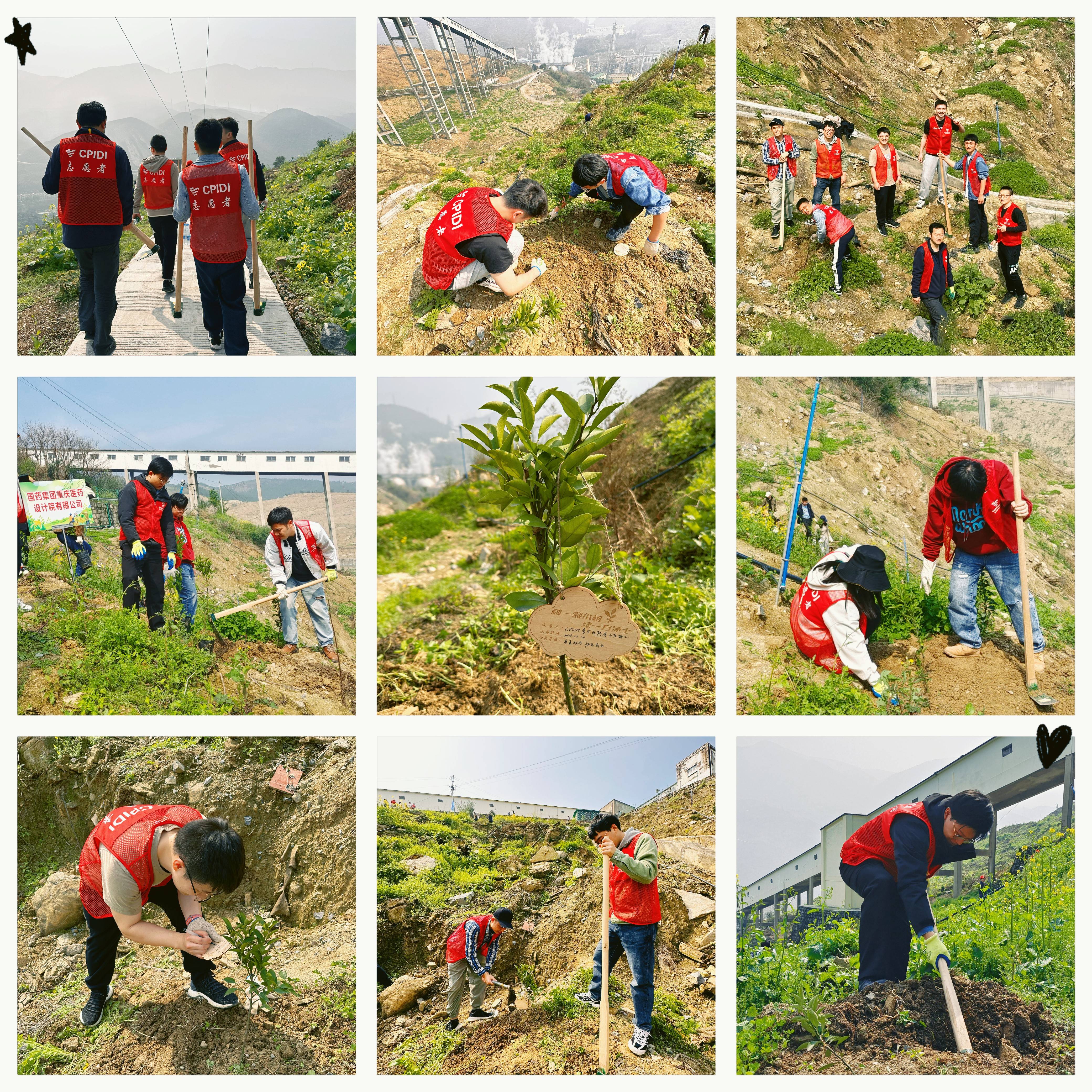 “同植清廉树·共树清廉风”我们在行动