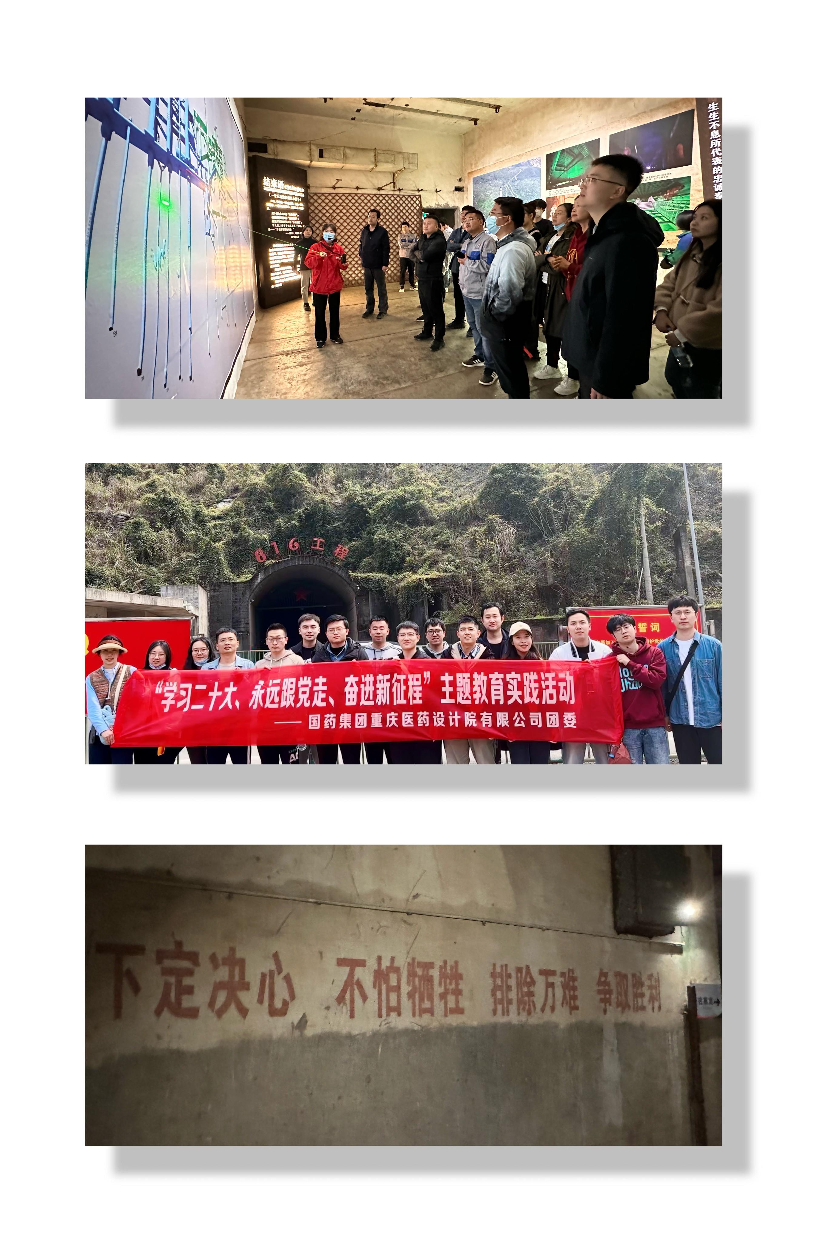 “同植清廉树·共树清廉风”我们在行动