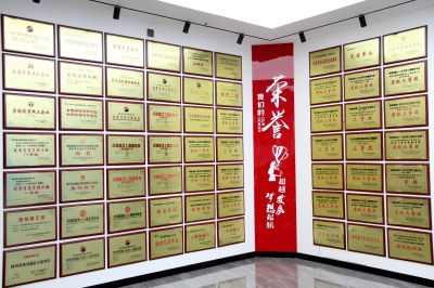 集团简介