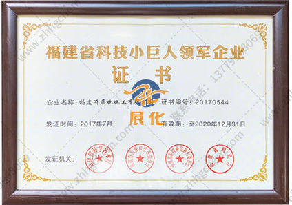 Fujian Province Science and Technology Little Giant Leading Enterprise Certificate