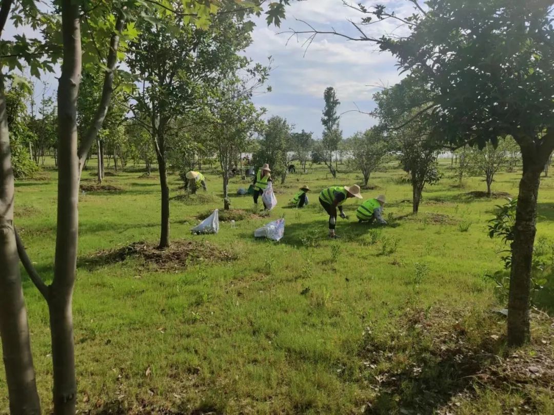 六安未來城市公園項目正式進場