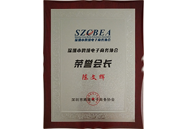 Honorary President of Shenzhen Cross disciplinary Association