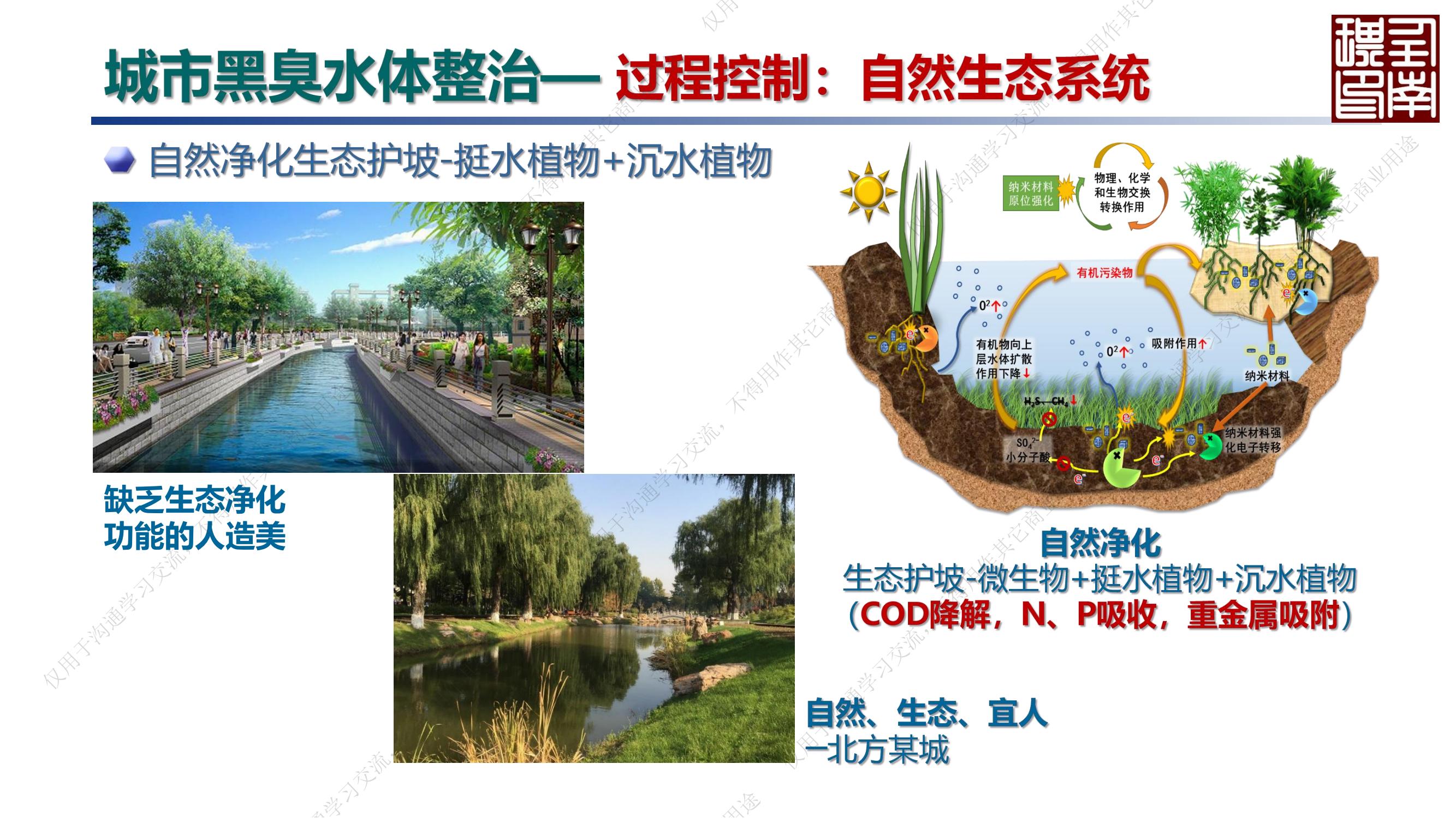 专家报告丨任南琪:城市水系统绿色低碳高质量发展 专家报告丨任南琪:城市水系统绿色低碳高质量发展