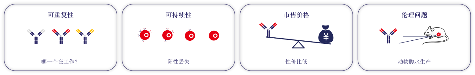 重组抗体表达服务