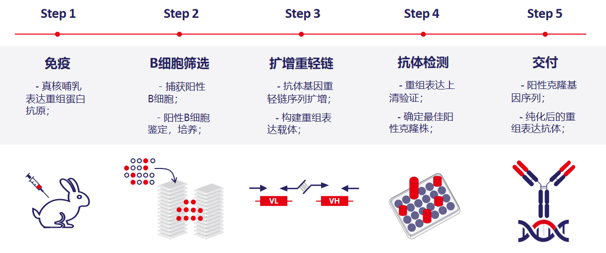 抗GPCR抗体的多重选择性筛选